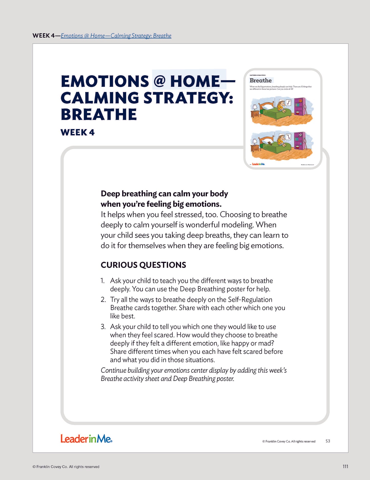 Early Learning Emotions: Teacher Edition (NEW)