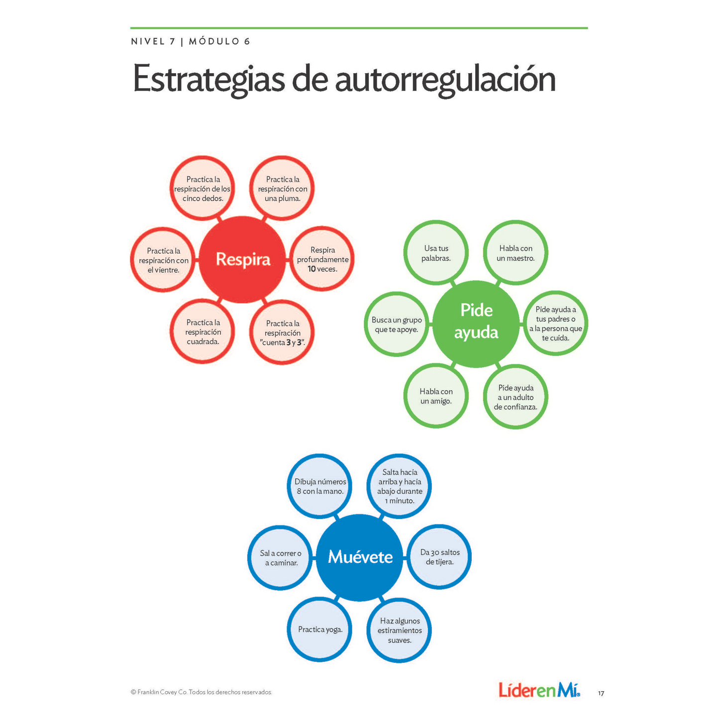 Curriculum Companion Level 7: Student Edition (Spanish)