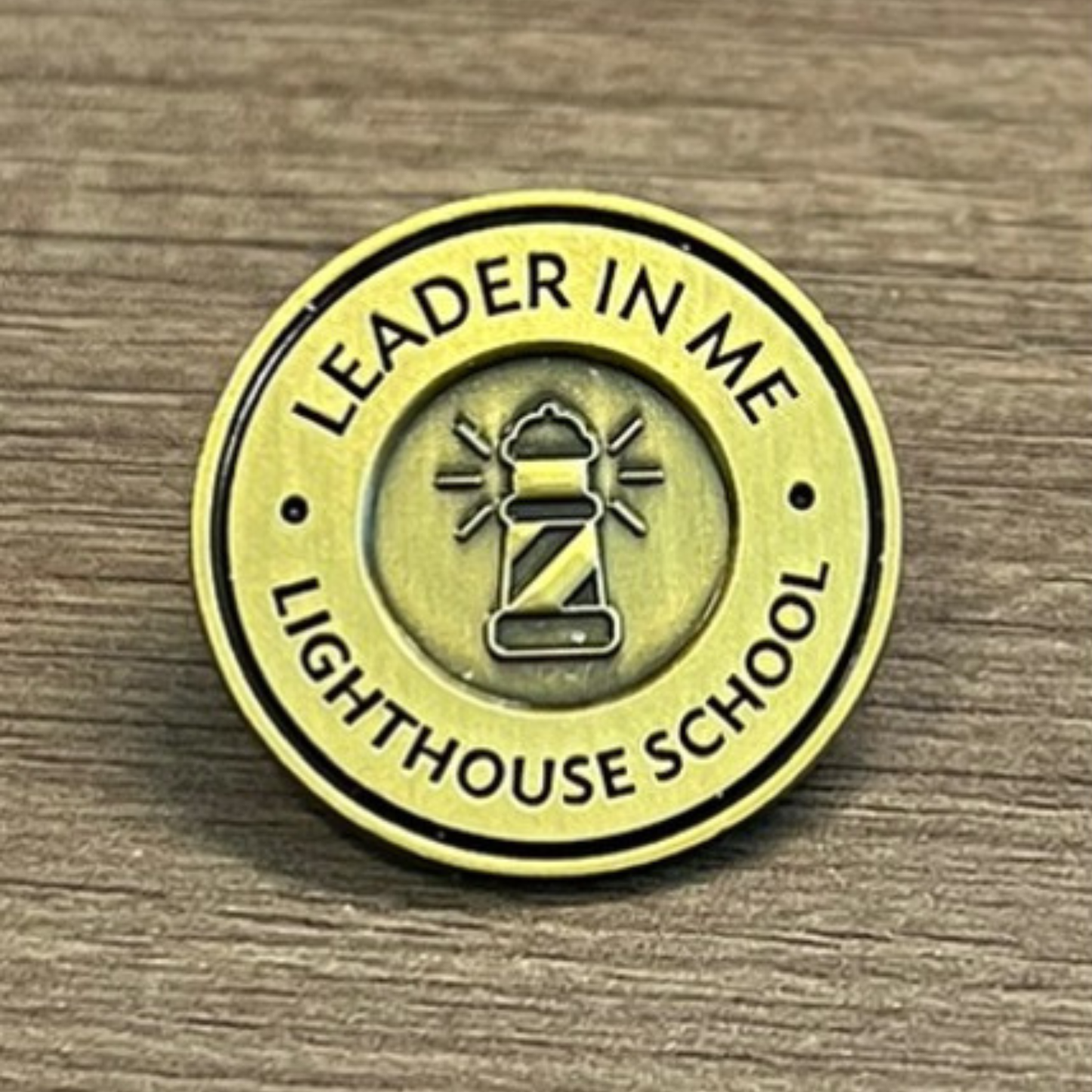 Lighthouse School: Lapel Pin