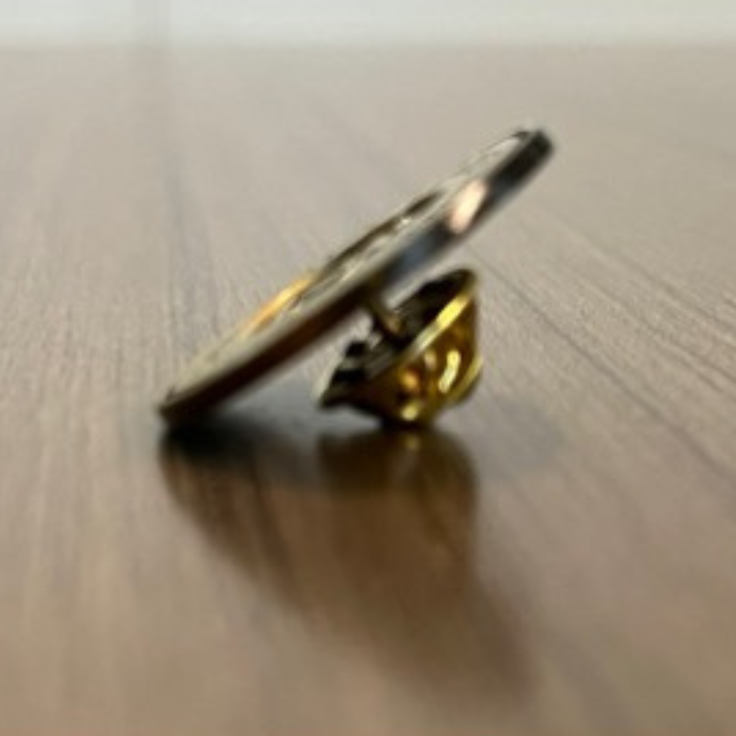 Lighthouse School: Lapel Pin