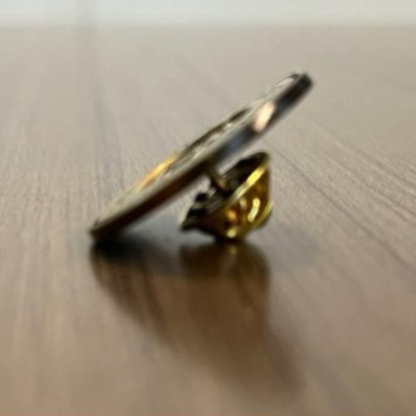 Lighthouse School: Lapel Pin